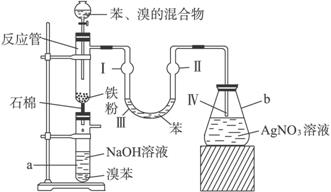 有人设计溴苯的制取装置如下图所示,请按要求完成下列问题