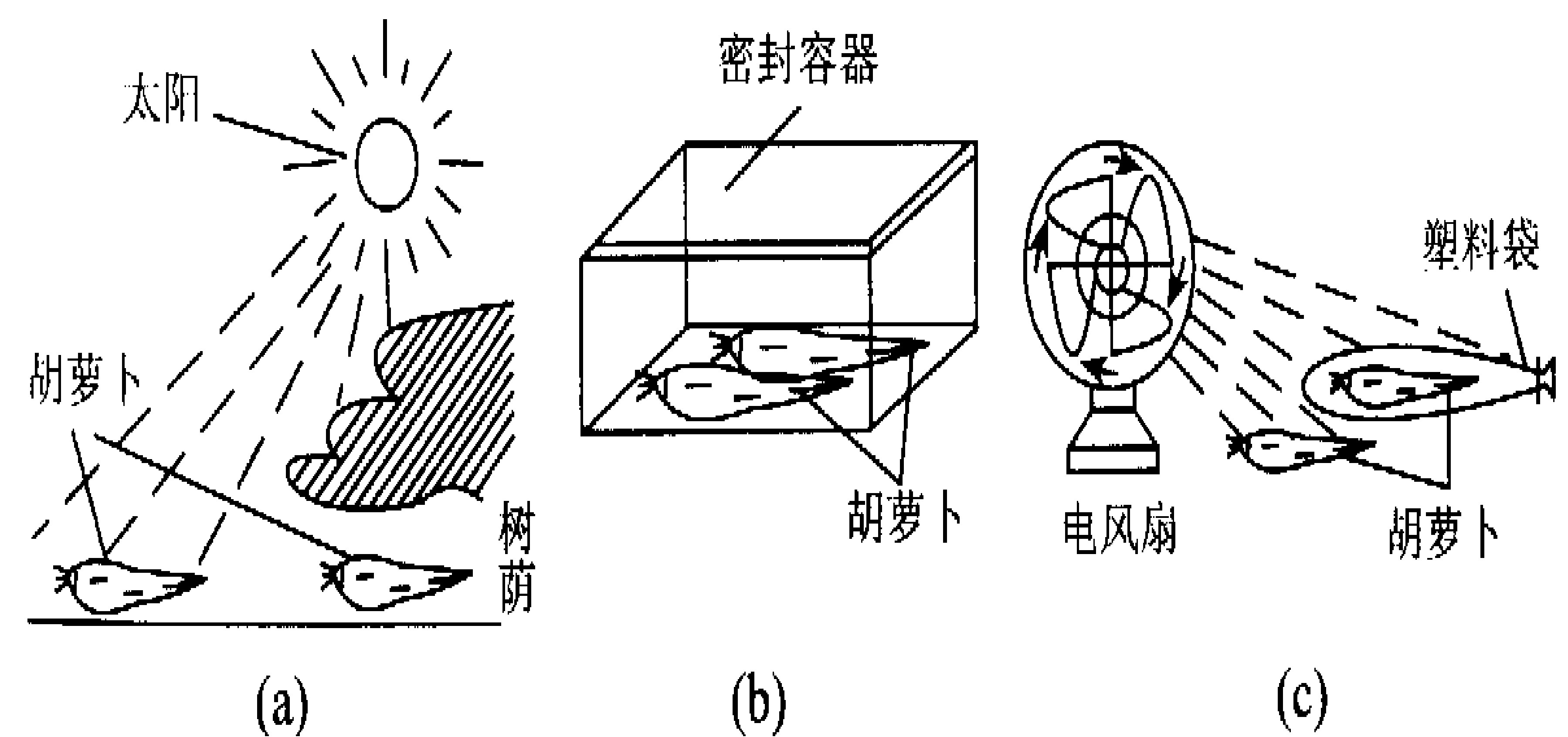 水分散失快慢的因素,有(a),(b),(c)三组同学各自做了研究实验,一个