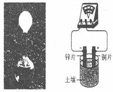 壤猜一成语_木猜一成语疯狂看图(3)