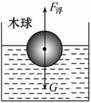 答案:木球漂浮在水面上,受到的浮力大小等于重力,浮力的方向竖直向上