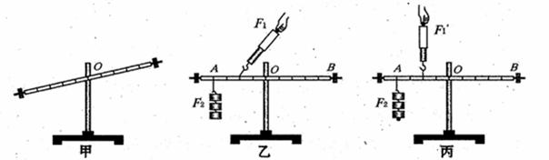 为使杠杆在水平位置平衡,可只将杠杆左端螺母向 (选填"左"或"右")边旋