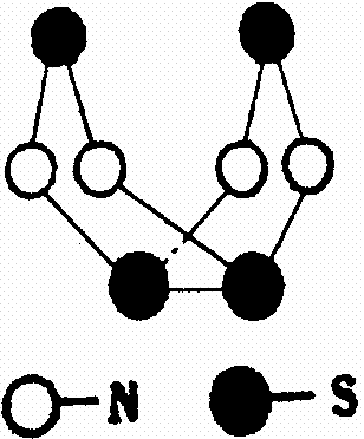 右图是已经合成的一种硫氮化合物的分子结构,下列说法