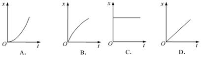 下列几个图象中能够描述自由落体运动位移―时间(x-t)